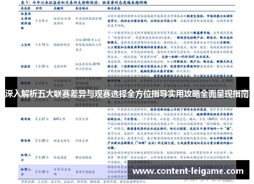 深入解析五大联赛差异与观赛选择全方位指导实用攻略全面呈现指南