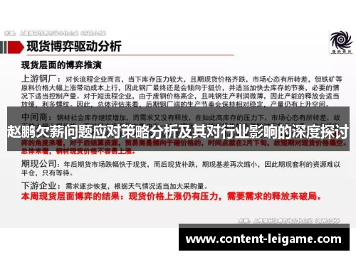 赵鹏欠薪问题应对策略分析及其对行业影响的深度探讨