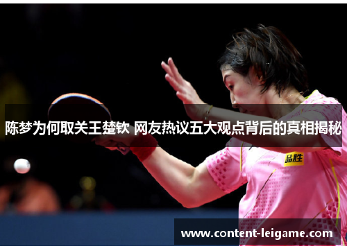 陈梦为何取关王楚钦 网友热议五大观点背后的真相揭秘